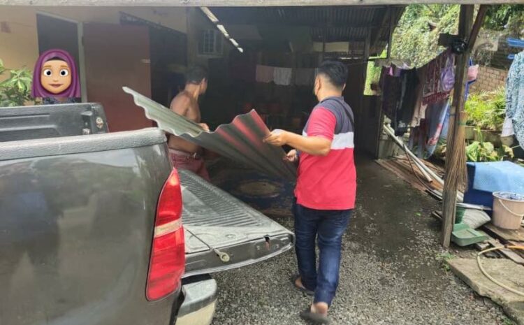 Menyumbangkan Zink Bagi Menutup Bocor Bumbung