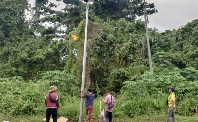  Kerja Pemasangan Lampu Solar Diteruskan