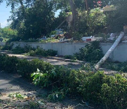 Penutupan Jalan Utara Baru Bagi Kerja Penebangan Pokok