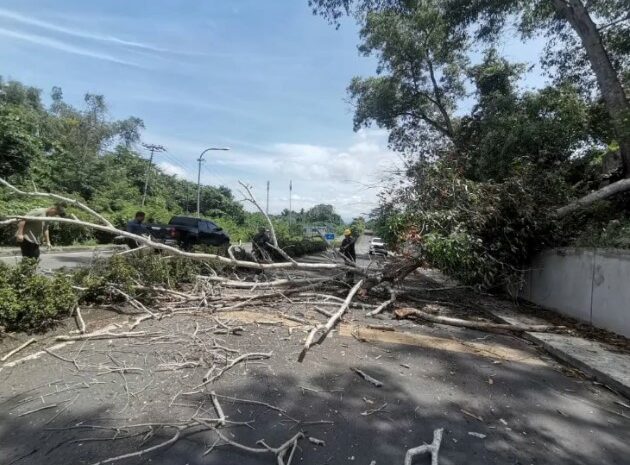  Aduan Rakyat Pokok Hampir Tumbang Di Tanah Perkuburan Jalan Utara Baru