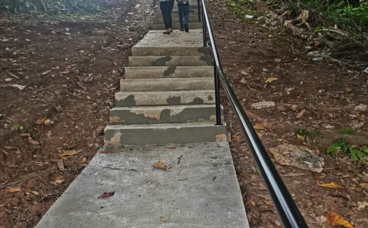  Membina Tangga Baru Di Taman Tulip