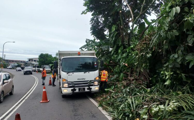  Aduan Pokok Tumbang Di Jalan Kuhara