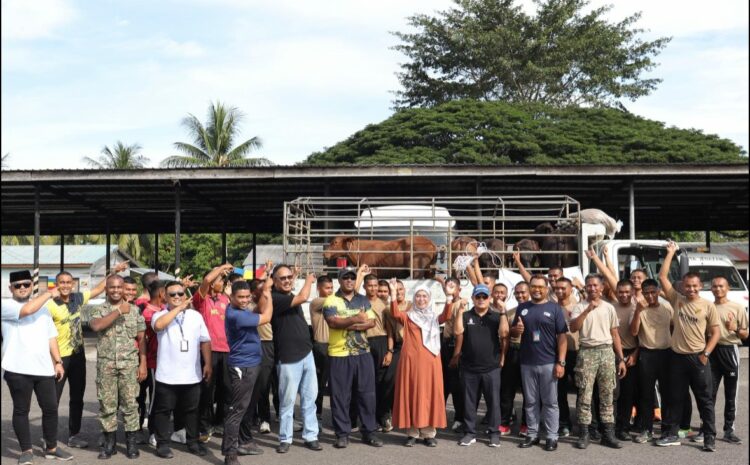 Lembu Kami Bawa, Untuk Kamu Semua
