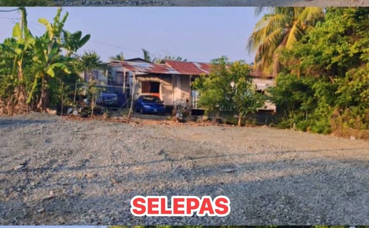  Elak Kesesakan